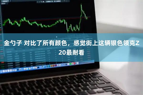 金勺子 对比了所有颜色，感觉街上这辆银色领克Z20最耐看